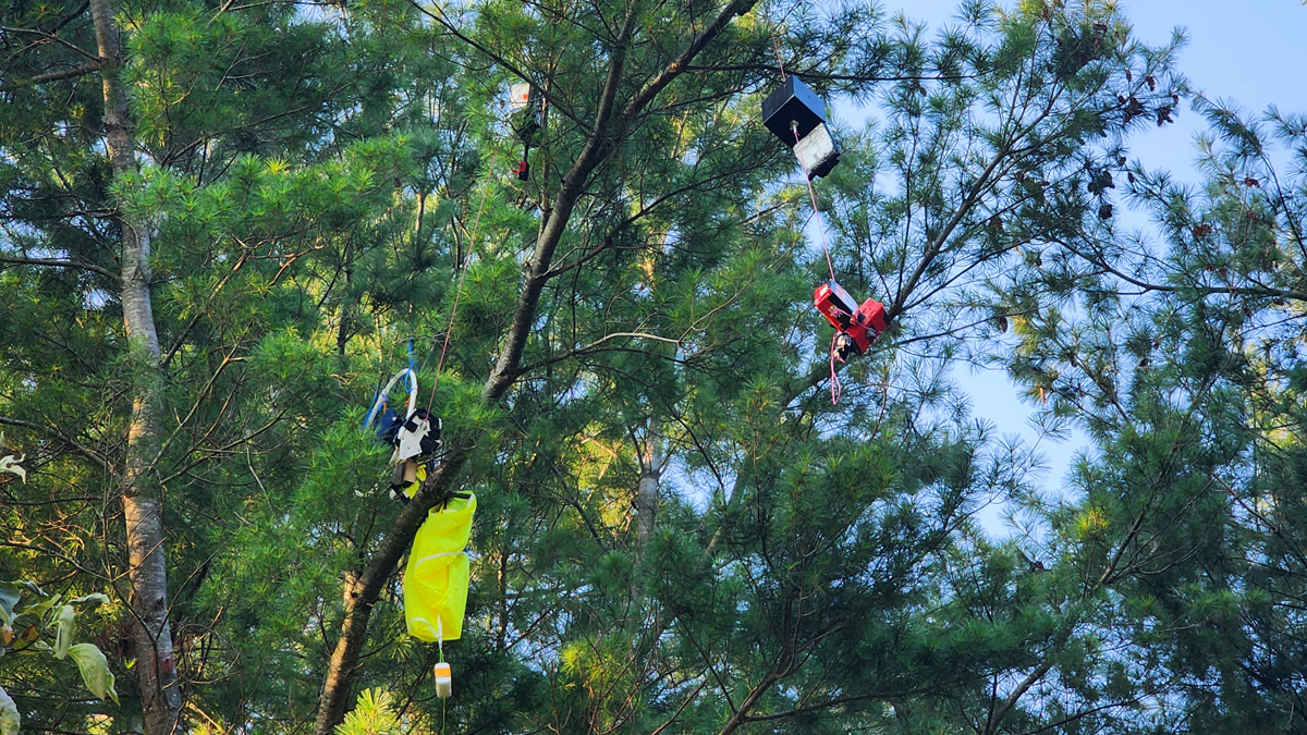 the payload descended into a large tree